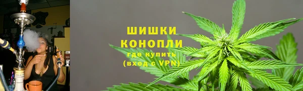 ПСИЛОЦИБИНОВЫЕ ГРИБЫ Вязники