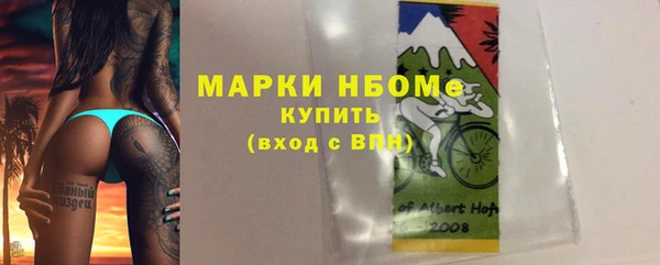 ПСИЛОЦИБИНОВЫЕ ГРИБЫ Вязники