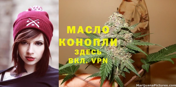 гидра Новозыбков