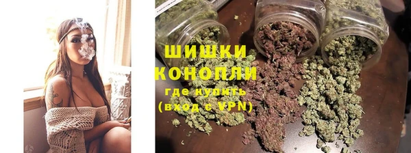 ПСИЛОЦИБИНОВЫЕ ГРИБЫ Вязники