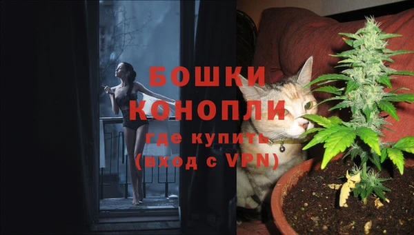 ПСИЛОЦИБИНОВЫЕ ГРИБЫ Вязники