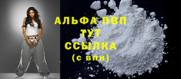 ПСИЛОЦИБИНОВЫЕ ГРИБЫ Вязники