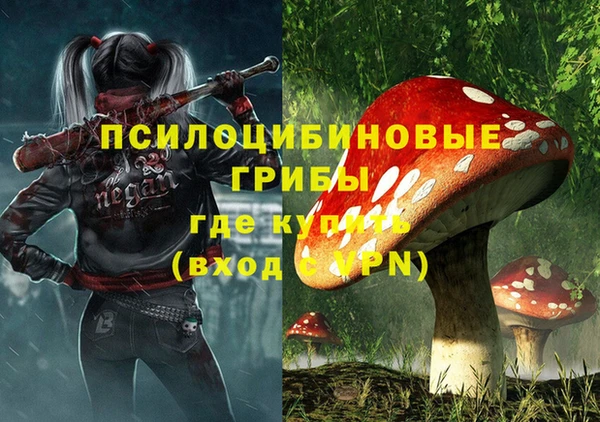 ПСИЛОЦИБИНОВЫЕ ГРИБЫ Вязники