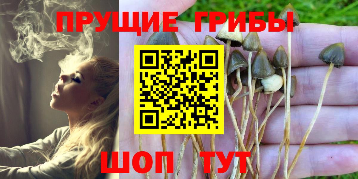 Костомукша  Псилоцибиновые грибы MAGIC MUSHROOMS  Вход с VPN 